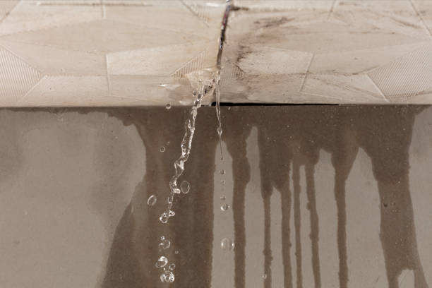 Professional Water Extraction technician working in Smoaks, SC